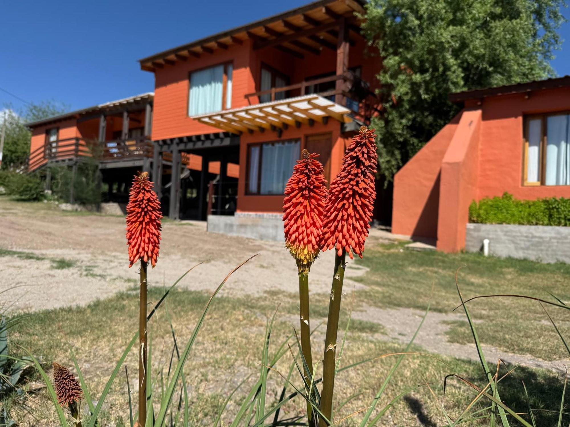 Tafí del Valle Cabana El Churqui מראה חיצוני תמונה